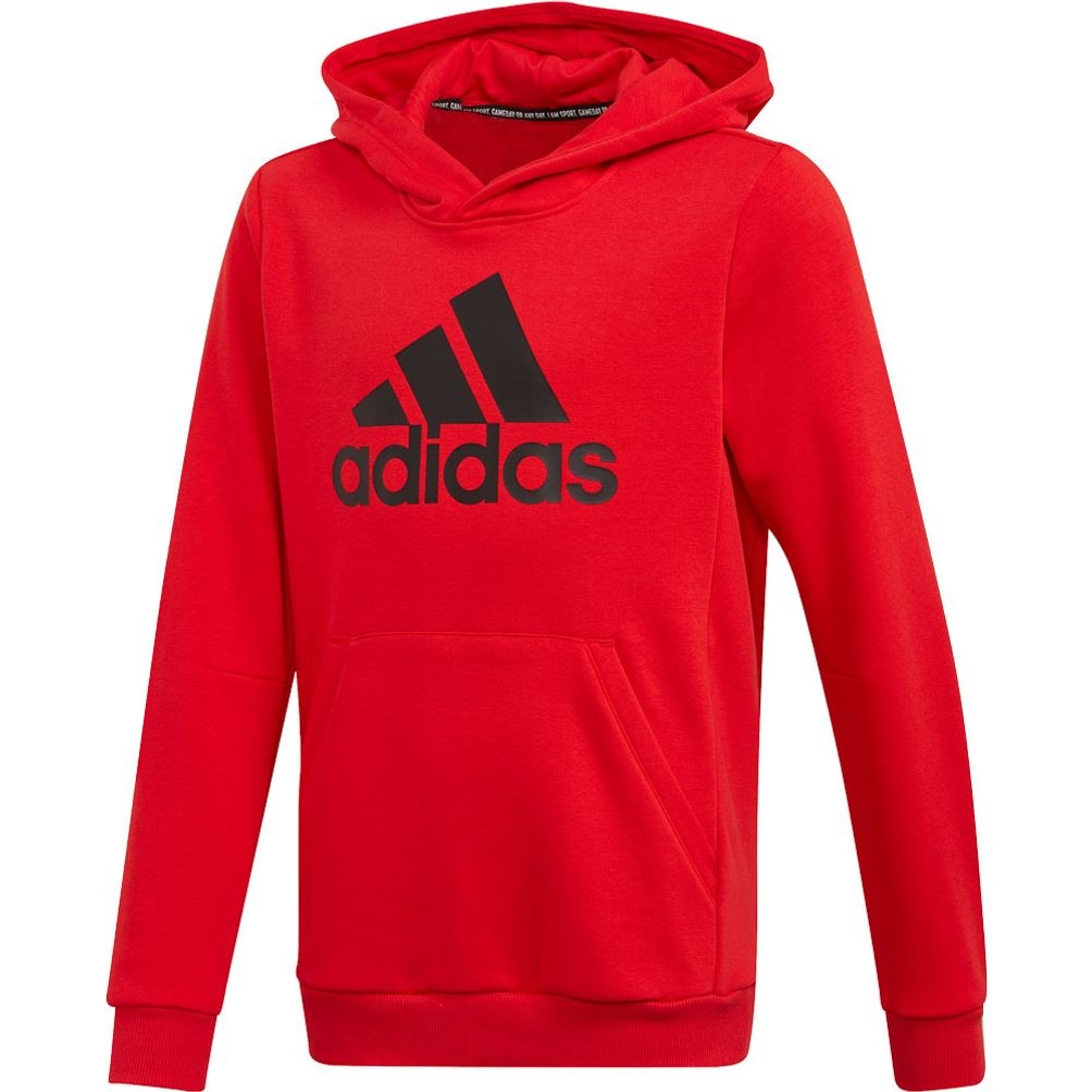 winter hoodie
